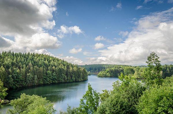 Le Gagnage 31 Pers- Malmedy, Rustique, Vue, Wellness Βίλα Εξωτερικό φωτογραφία
